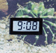 LCD Clock