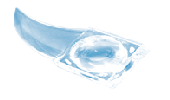 Magnifier / Letter Opener